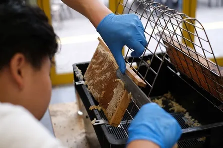 Hiver's Honey Harvesting Workshop with Honey Tasting for Two at Bermondsey