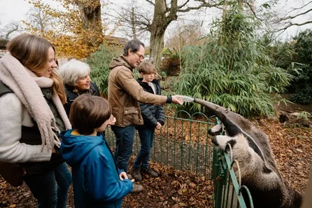 Longleat Giant Anteater VIP Experience with Park Admission for Two
