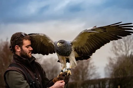 Millets Wildside Private Eagle and Vulture Encounter for Two