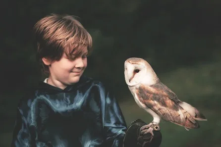 Owl Experience at North Somerset Bird of Prey Centre at North Somerset Bird of Prey Centre