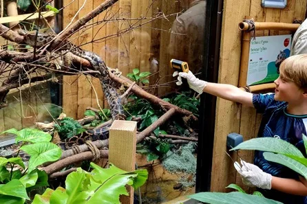 Plantasia Tropical Zoo VIP Keeper Experience with Memento at Swansea