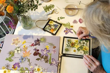 Pressed Flower Frame Workshop at Hove