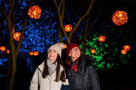 RHS Glow 2026 at RHS Garden Harlow Carr for Two at RHS Garden Harlow Carr for Two