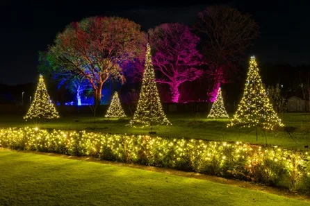 RHS Glow 2026 at RHS Garden Bridgewater for Two