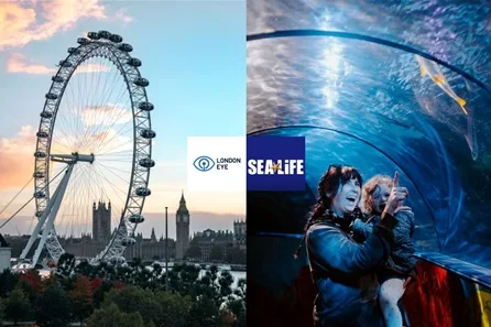 Ride the London Eye and SEA LIFE London Aquarium for Two Adults and One Child at Westminster