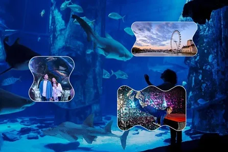 Ride the London Eye, SEA LIFE London Aquarium and Madame Tussauds for Two Adults and One Child at Westminster