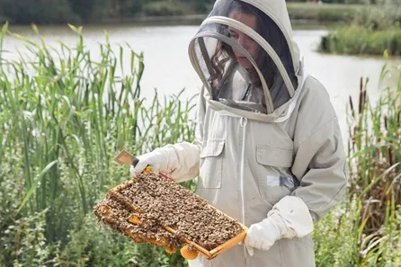 Hiver's Rural Beekeeping and Beer Tasting Experience