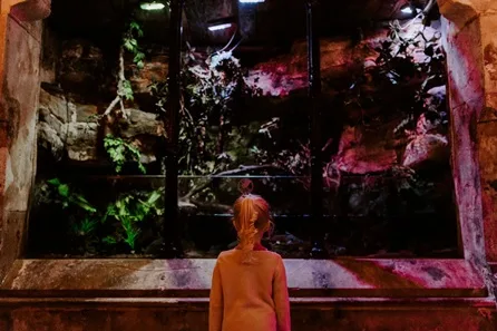 SEA LIFE Brighton Visit for Two Adults and One Child at Brighton