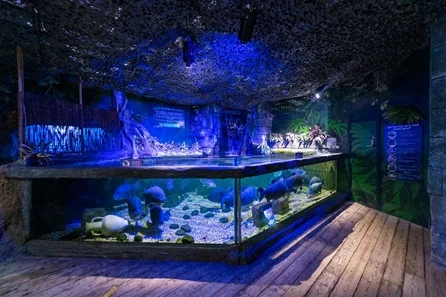 SEA LIFE Hunstanton Visit for Two Adults at Hunstanton