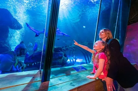 SEA LIFE Hunstanton Visit for Two Adults and Two Children at Hunstanton