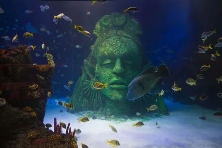 SEA LIFE Manchester Visit for Two Adults and One Child at Manchester