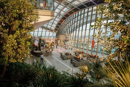 Sky Garden Early Access with Breakfast Pastry and Hot Drink for Two at London