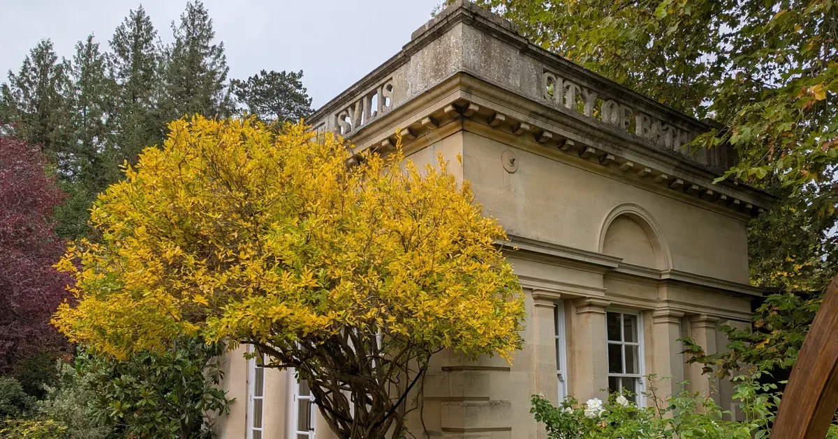 “Second only to Kew” Tree Walk