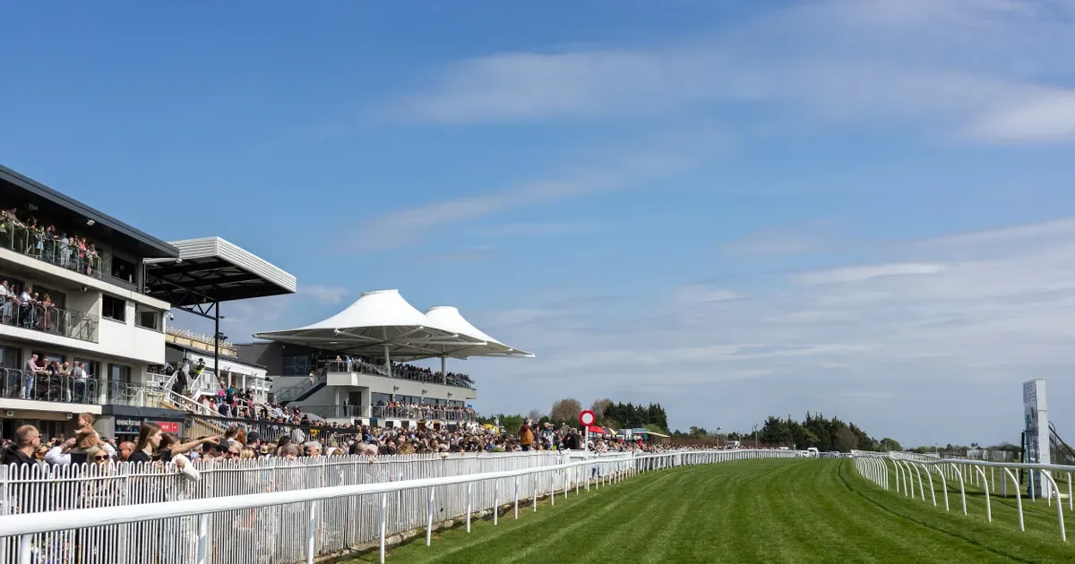 Countryside Raceday at Bath Racecourse