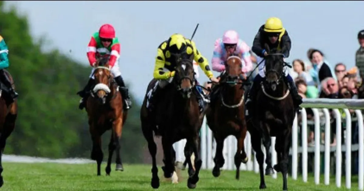 Bath Racecourse September Racing (Wednesday) at Bath Racecourse