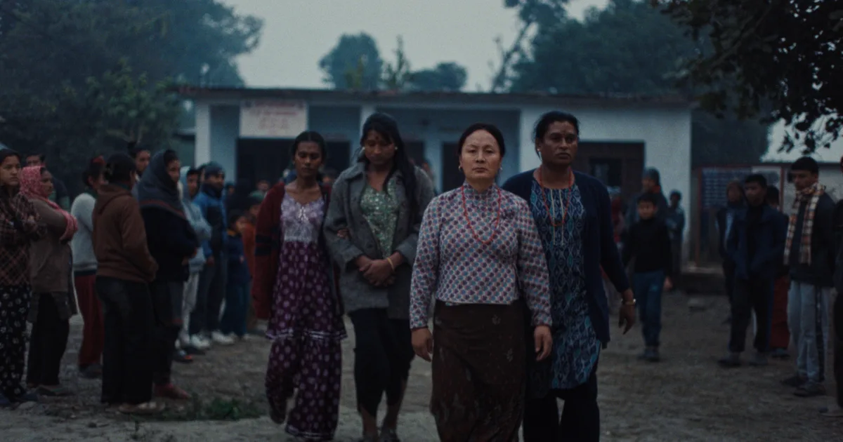 Elephants in the Fog (Tiniharu) at Everyman Cinema
