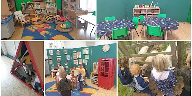 Owlets at The Kingswood Trust