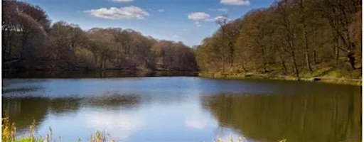 Discover Bradford's Becks: Chellow Dene Beck and Reservoirs at Ings Way