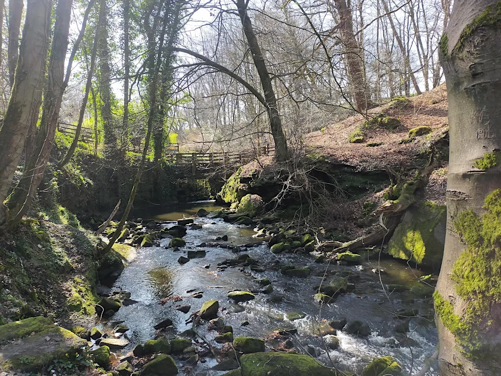 Discover Bradford's Becks: Hewenden Vistas