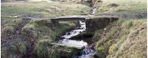 Discover Bradford's Becks: Pinch Beck, High Birks Beck and Hole Bottom Beck at Thornton Primary School