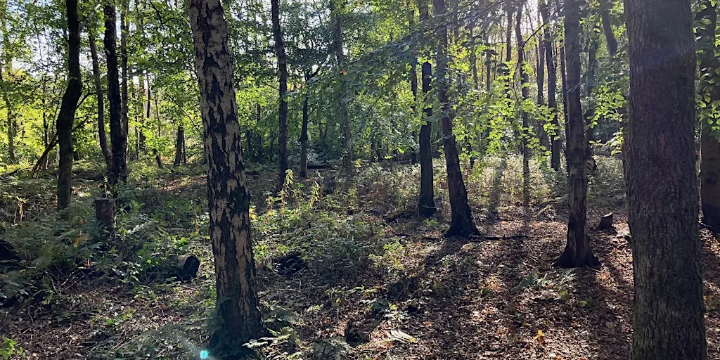 Land and Nature Workshop at the Laudato Si' Centre