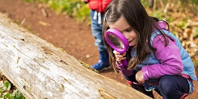 Nature Detectives at Summer Leys at Summer Leys Nature Reserve