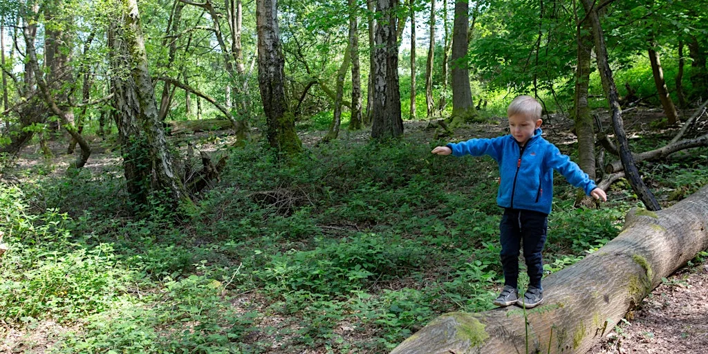 Nature Tots 3-5 Yr Olds and Accompanying Adults, Tilgate Park (110237035) at Tilgate Park