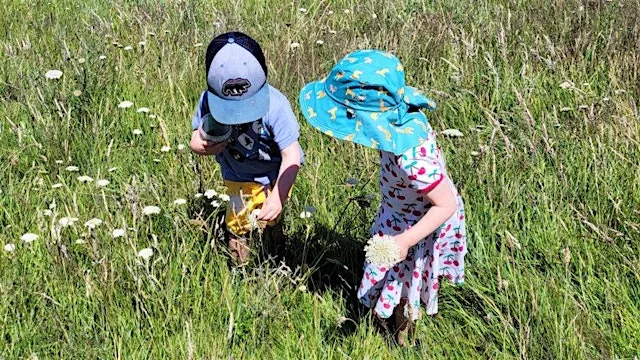 Bug Hunting and Meadow Sweeping at Lorton Meadows