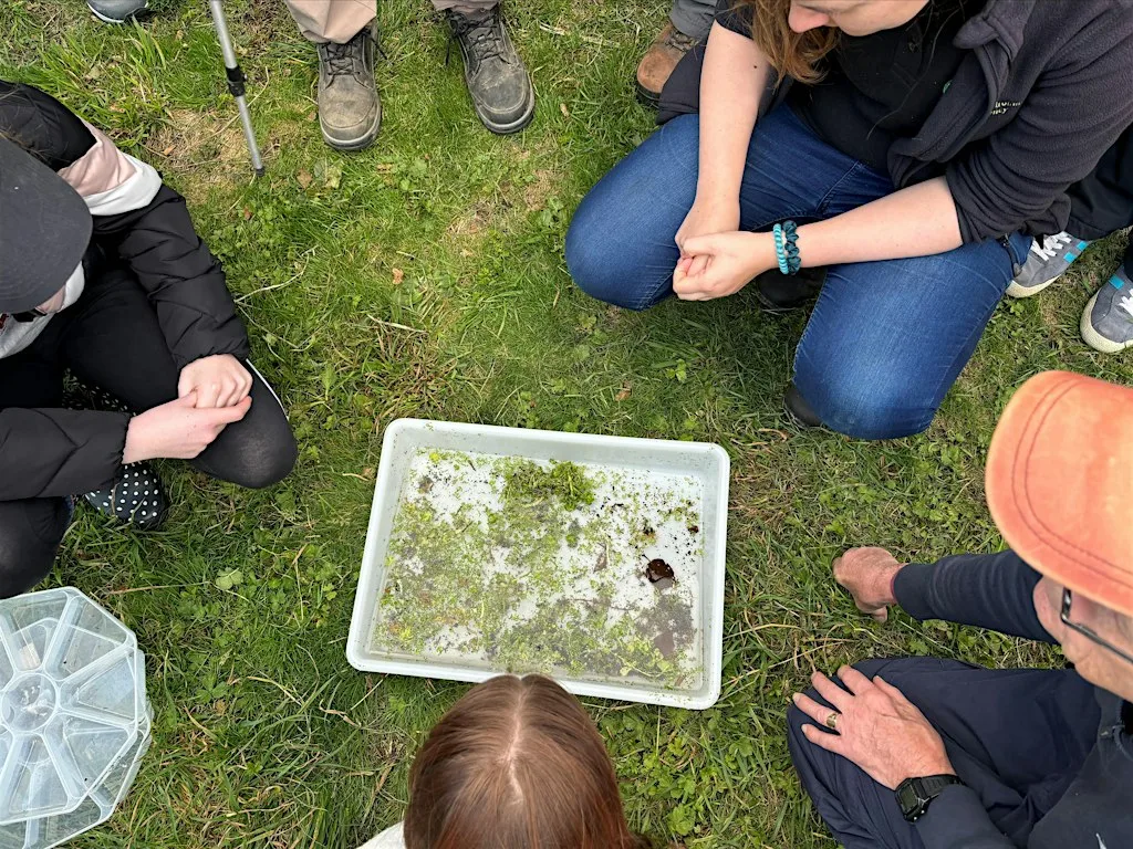 Autumn 2026 Riverfly Training Day