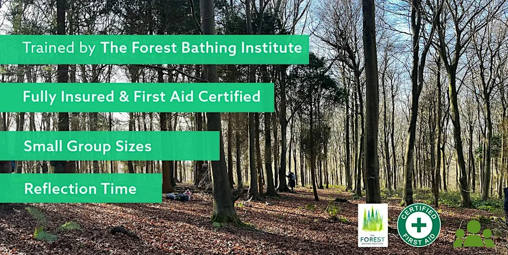 Forest Bathing+ at Friston Forest –Slow Down, Breathe Deeply, Feel Restored