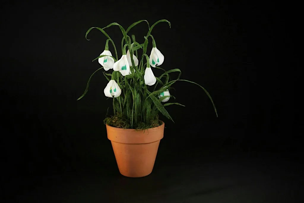 Paper Flowers Workshop - Snowdrop at Branklyn Garden