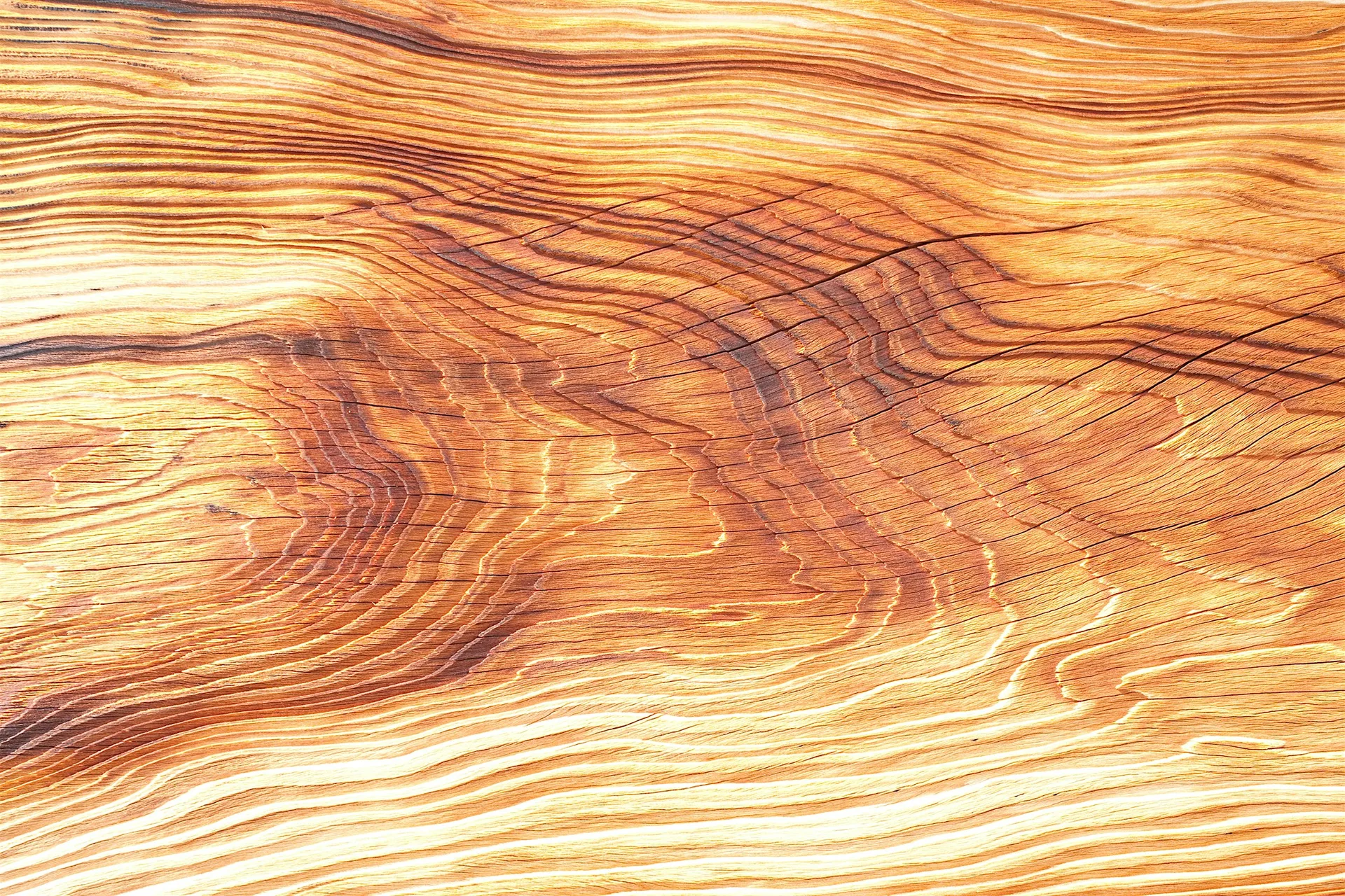 Dendrochronology - An Introduction to Tree-Ring Dating Buildings at The Craft Barn, Cressing Temple Barns