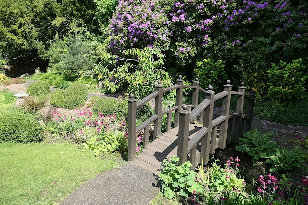 Valley Gardens Guided Walk at Valley Gardens Harrogate