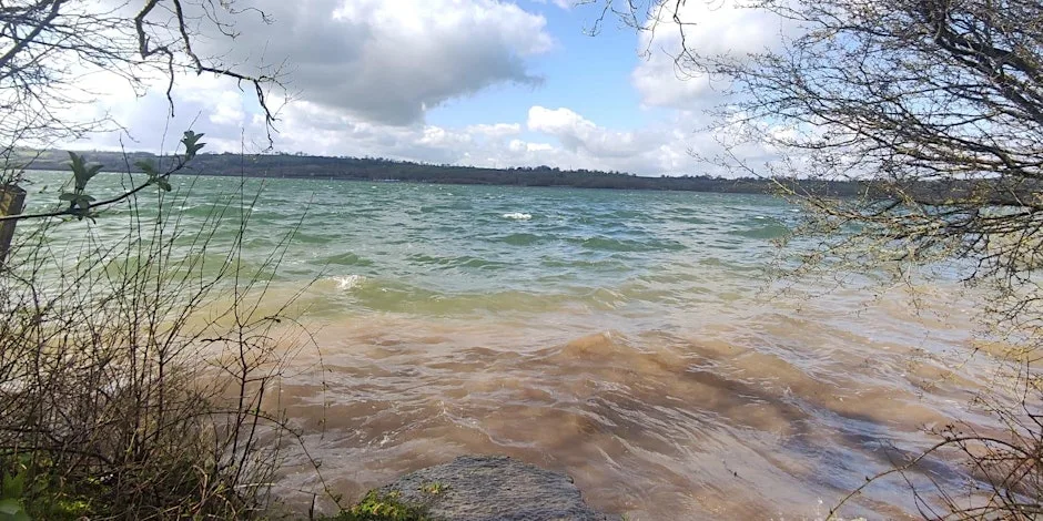 Experience Community Carsington Water Ramble at Millfields Car Park