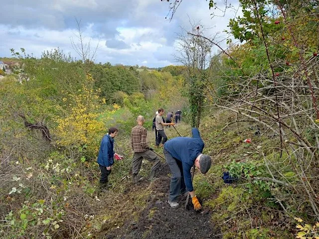 Scything and Vegetation Clearance at Midsomer Norton Town Park