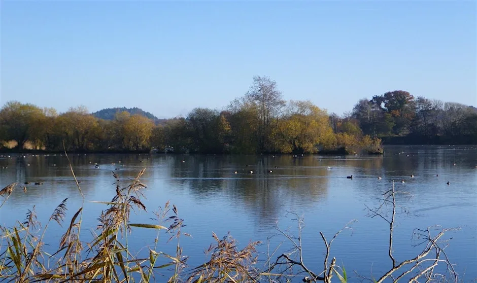Blashford Lakes Family Den building, Campfire & Crafts at Blashford Lakes Nature Reserve