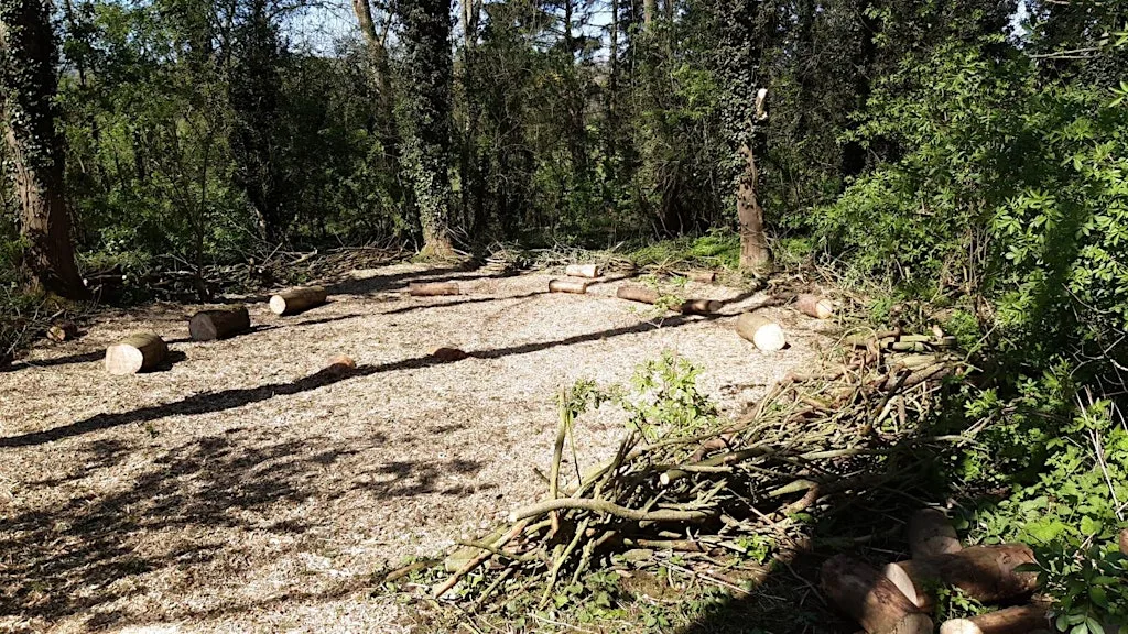 Summer Forest School at East Carlton Country Park at East Carlton Country Park
