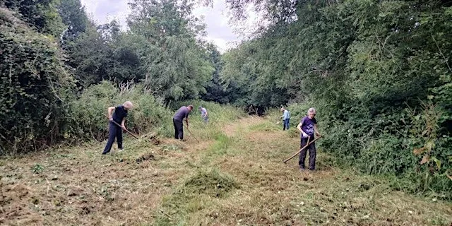 Scything at Waterside Valley at Waterside Valley