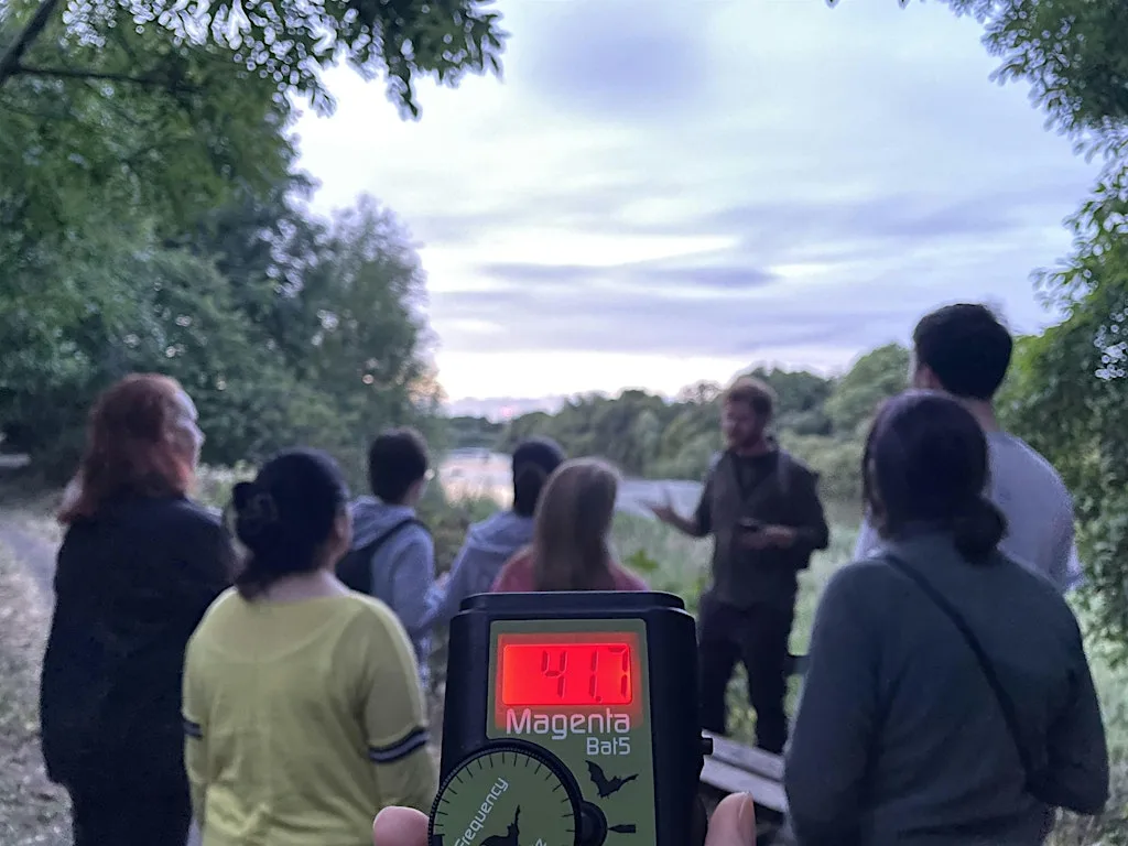 Evening Bat Walk at Leg o'Mutton
