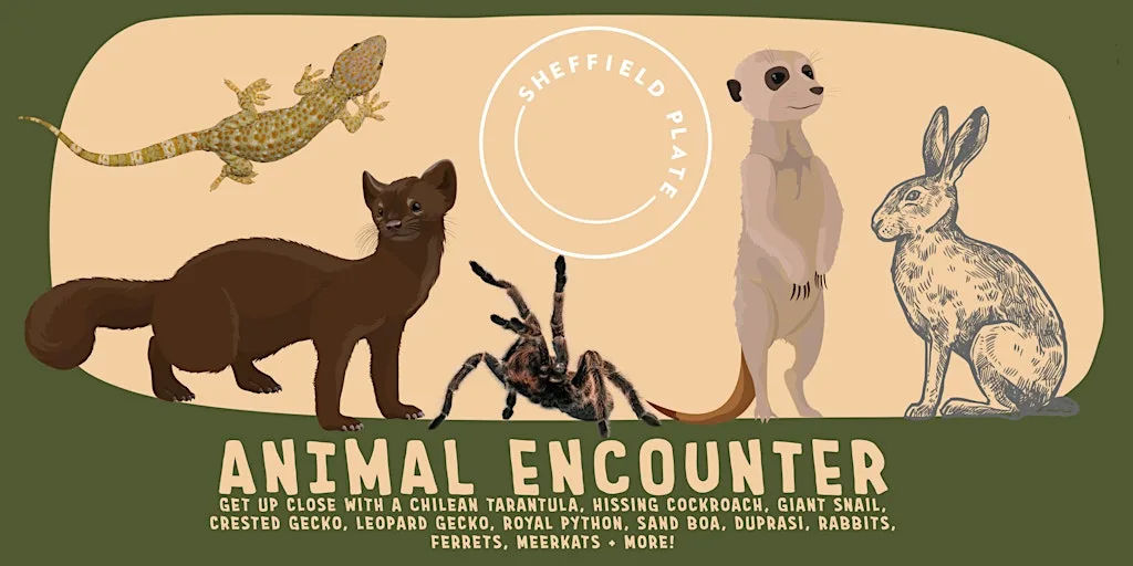 Animal Encounter @ Sheffield Plate - 2 sessions available! at Sheffield Plate