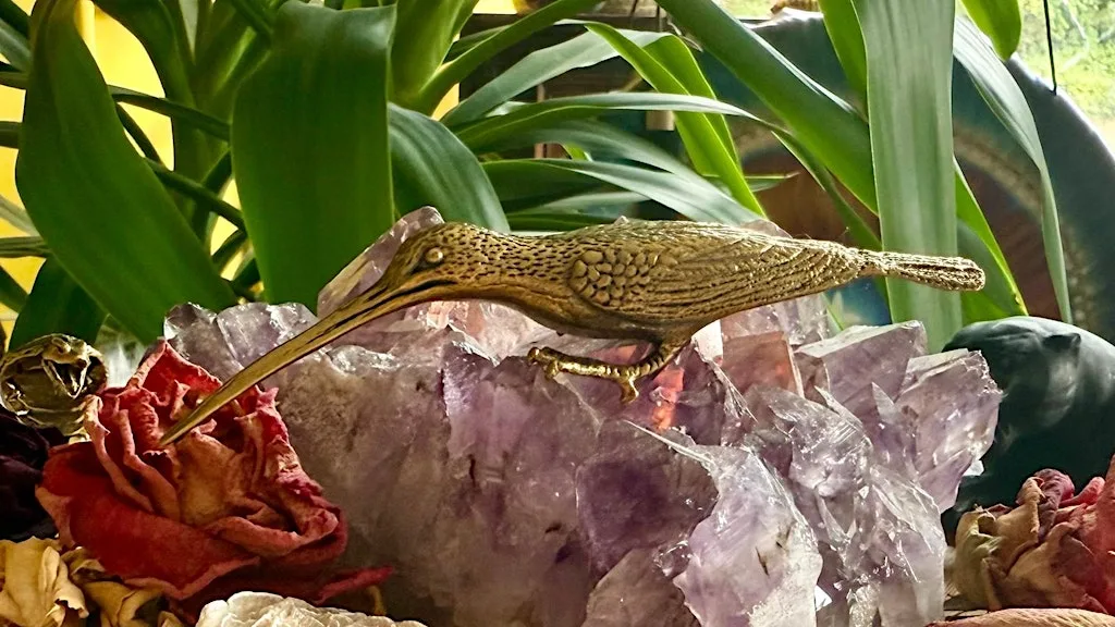 HUMMINGBIRD — Following the Path of Joy