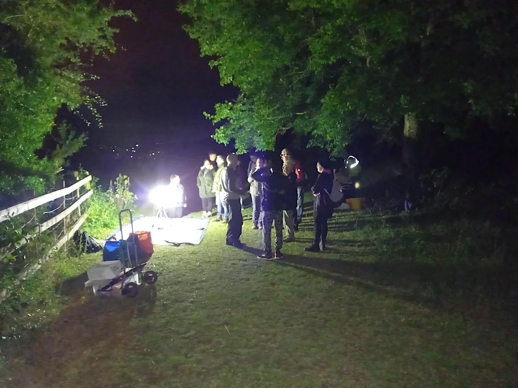 Creatures of the Night at Bradgers Hill at Bushmead Community Hub