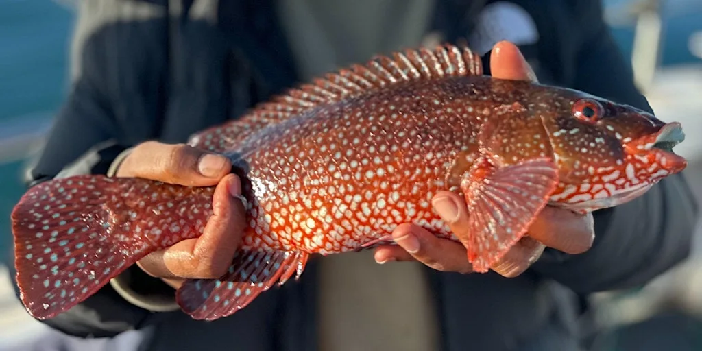 BFTLDN Black Girl Fishing Trip: Catch and Cook with  We Are Black Fish at Fishermans Beach Hythe