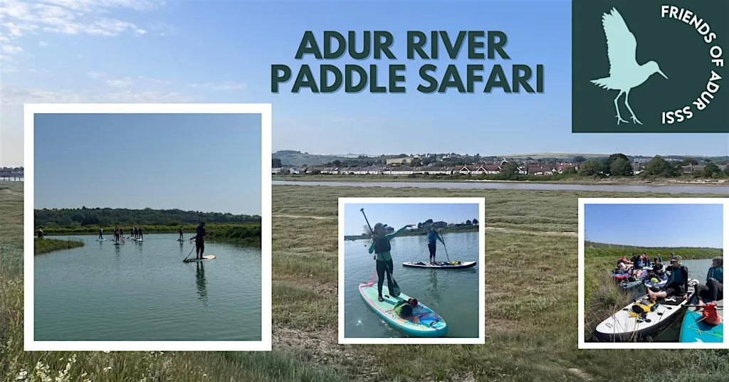 Adur River Paddle Safari - September 2026 at Shoreham-by-Sea