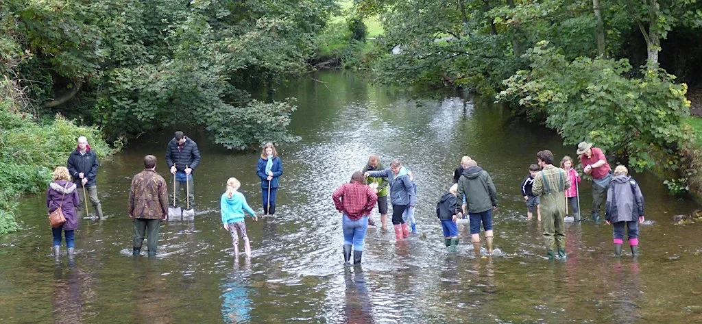 River Dipping for the over 7's on the River Chew in Keynsham