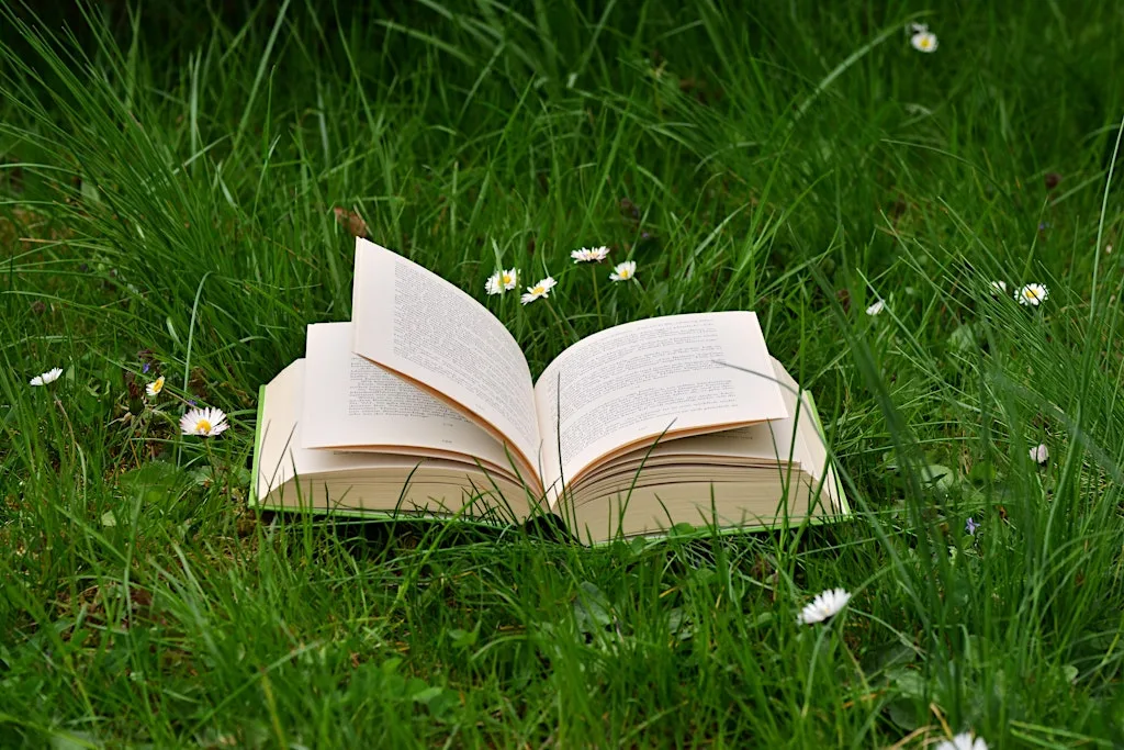 Cardiff Silent Book Club - Picnic in Bute Park at Near Secret Garden Café
