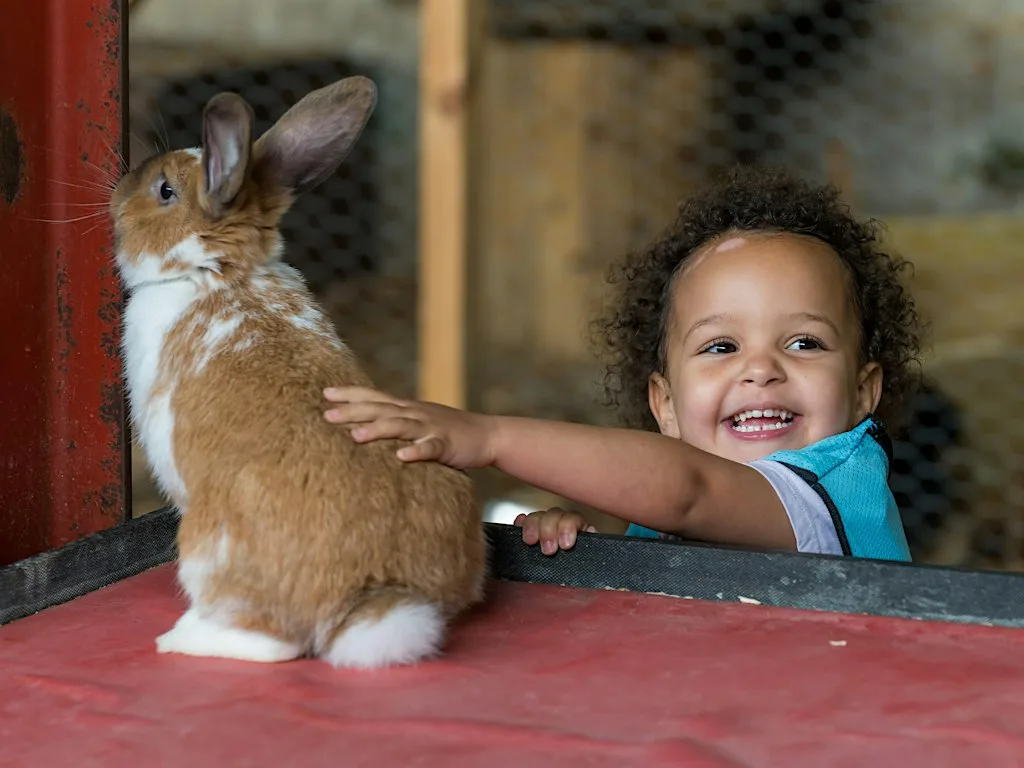 Foxes Bridge Farm Day Nursery & Pre-school September Enrolment Week at Foxes Bridge Farm Day Nursery & Preschool