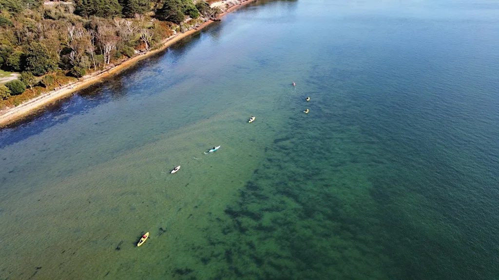 Brownsea Bliss at Brownsea Island - Sandbanks