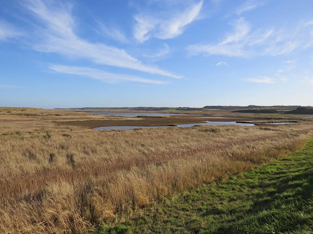 Afternoon walk - Leg-stretch to Salthouse (9 September) at Cley Marshes Visitor Centre
