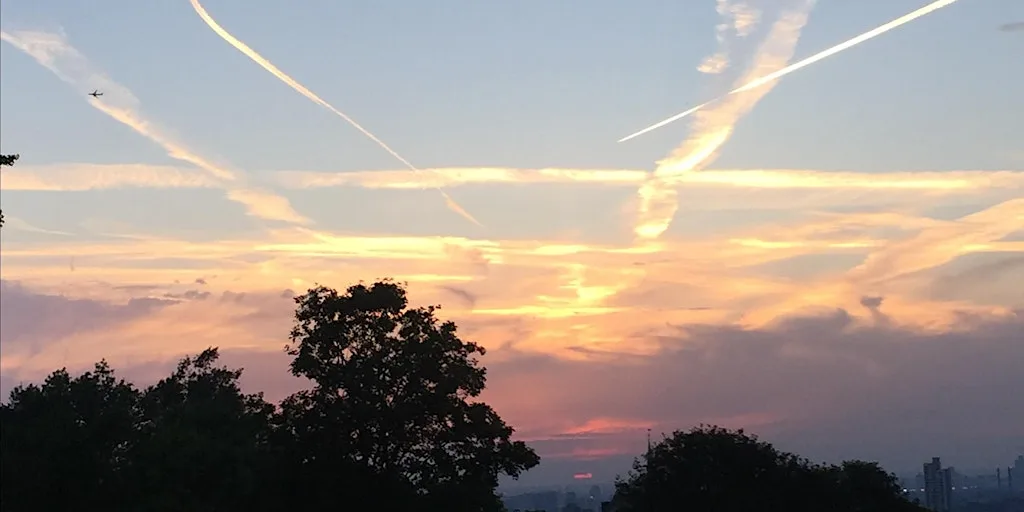 Shrewsbury Park Bat Walk